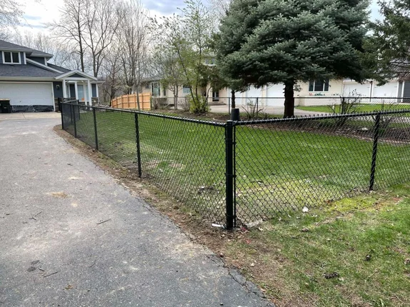 Durable black coated chain link fence bordering asphalt driveway and front lawn with mature evergreen tree