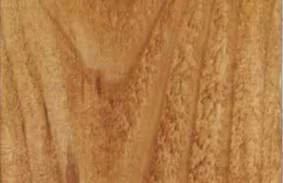 Western Red Cedar fence color sample