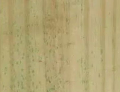 Pressure Treated Pine fence color sample