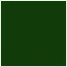 Green Vinyl Coated fence color sample